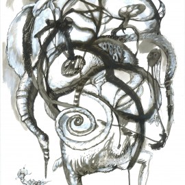 Spiral (2012), indian ink on paper, 18.5"x24"