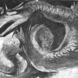 Mythical Dragon (Four Powers Series) (2000), charcoal on paper, 34"x24"