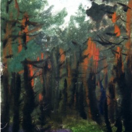 Pine Forest (1987), color chalk on paper, 12"x19"